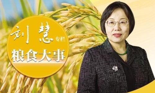 干野苋菜的正确吃法图片-野苋菜晒干营养好处-干野苋菜的正确吃法视频,中国干野苋菜的正确吃法网站